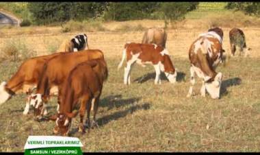 Verimli Topraklarımız Vezirköprü 2015 Bölüm 1